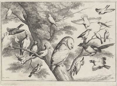 Ağaçtaki kuşlar Farklı kuşlar (dizi adı) by Wenceslaus Hollar