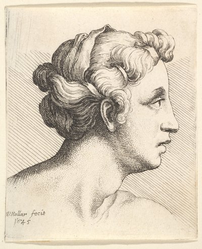 Sağa doğru profilde saç buklesi olan kadın, 1645. by Wenceslaus Hollar
