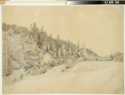 Peyzaj by Werner Holmberg