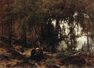 Yağmur altında orman by Werner Holmberg