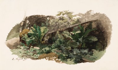 Eğrelti otlarının üzerine düşmüş bir köknar ağacı; Bir inek (çift taraflı çalışma) by Werner Holmberg