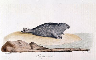 Mühür commum - Werner tarafından çizim by Werner Werner