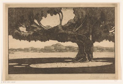 Jogyakarta'daki Sultan Sarayının Bahçesindeki Waringin Ağaçları Büyük Ağaç (orijinal adı) by Wijnand Otto Jan Nieuwenkamp (signed by artist)