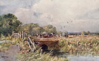 Saman yapımı (renkli lito) by Wilfrid Williams Ball