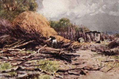 Japheth İş Başında (renkli taş baskı) by Wilfrid Williams Ball
