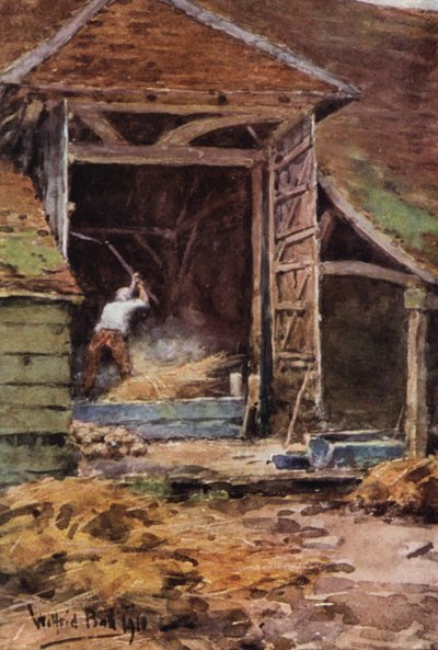 Yaşlı Abe, Çırpınıyor (renkli taş baskı) by Wilfrid Williams Ball