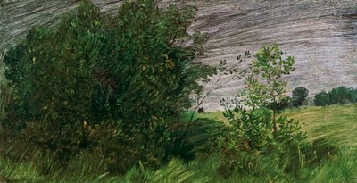 manzara by Wilhelm Busch