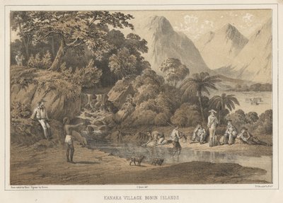 Kanaka Köyü Bonin Adaları, 1855 by Wilhelm Joseph Heine