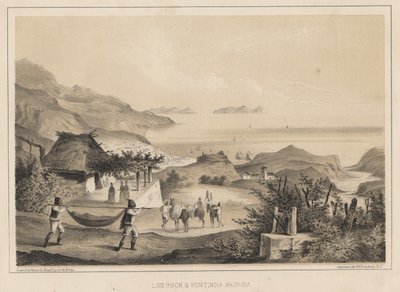 ಲೂ ರಾಕ್ ಉಂಡ್ ಪಾಂಟಿನ್ಹಾ ಮಡೈರಾ, 1855 ಟರ್ಕ್ by Wilhelm Joseph Heine