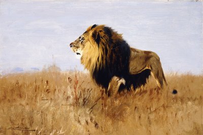 avını izleyen aslan, by Wilhelm Kuhnert
