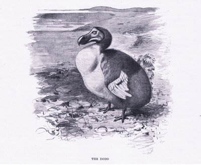 Dodo, Wildlife of the World