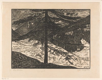 Karaçam (nesne üzerindeki orijinal başlık) by Wilhelm Laage (signed by artist)