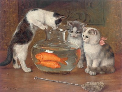 Cazip Bir İkram by Wilhelm Schwar