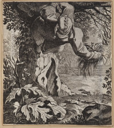 Cüretkar Aptal by Wilhelm Stettler
