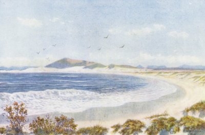  by Wilhelm Westhofen