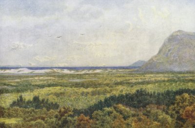  by Wilhelm Westhofen