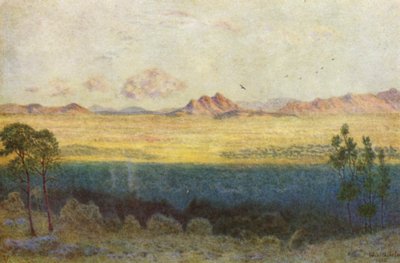  by Wilhelm Westhofen