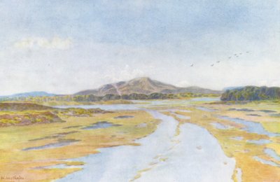  by Wilhelm Westhofen