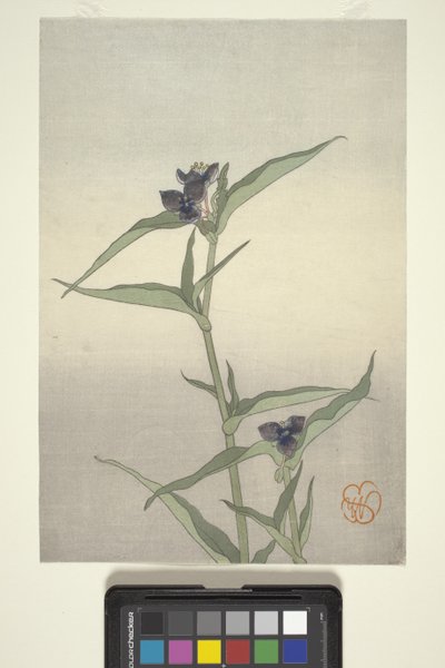 Çiçek Çalışması, c.1908 (renkli tahta baskı) by Wilhelmina Seegmiller