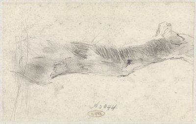 Bir ağaç çalışması by Willem Anthonie van Deventer
