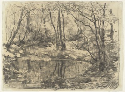 Ewijkshoeve üzerinde büyümüş gölet by Willem Bastiaan Tholen