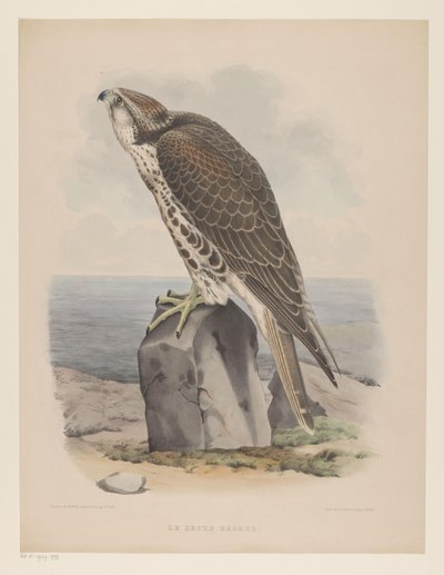 Valk The Sacred Haggard (nesnedeki başlık) by Willem Bastiaan van Wouw