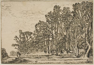 Tahta-Çitler ve Adam Rulman Ahşap ile Peyzaj by Willem Buytewech