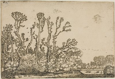 Ağaçlar, Gölet ve Koyunlarla Manzara by Willem Buytewech