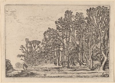 İki Tahta Çit by Willem Buytewech