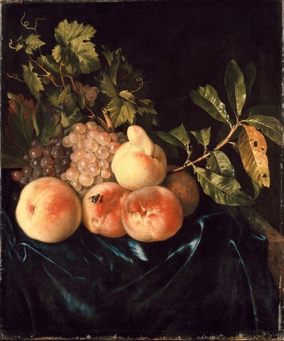 Şeftali ve Üzüm Natürmort, 1705 by Willem Frederiksz van Royen