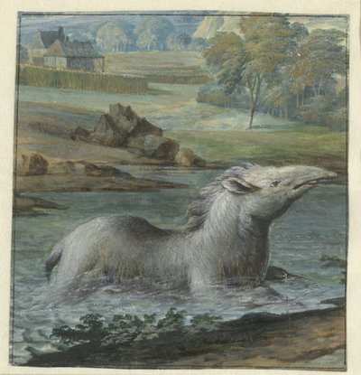 Sudaki Tapir by Willem Hendrik Wilhelmus van Royen