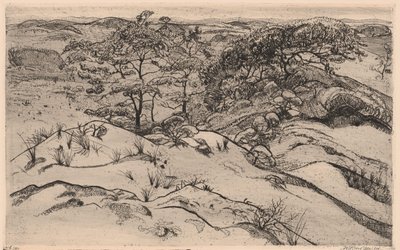 kumul manzarası by Willem Jansen (graveur) (signed by artist)