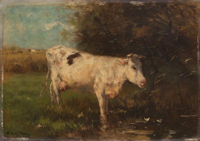 beyaz inek by Willem Maris
