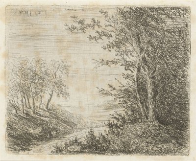 Akış ile tepelik manzara by Willem Matthias Jan van Dielen