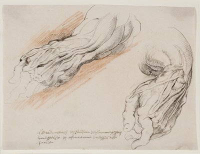 Anatomik Çalışmalar (écorchés.) Bir adamın sol ön kolu iki pozisyonda. by Willem Panneels