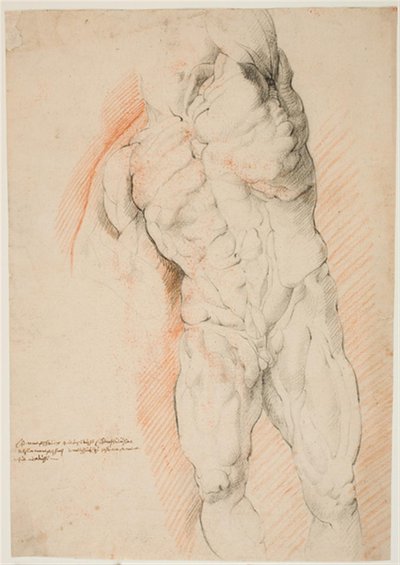 Anatomik Çalışma (écorché). Sol kolu kaldırılmış, derisi yüzülen adamın önden görünümü by Willem Panneels