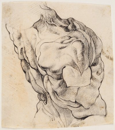 Anatomik Çalışma (écorché). Arka yarısında görülen derisi yüzülen bir adamın gövdesi sağa döndü by Willem Panneels
