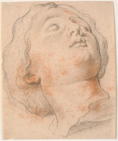 Romalı bir kadının başı, çeyrek profil sağa döndü by Willem Panneels