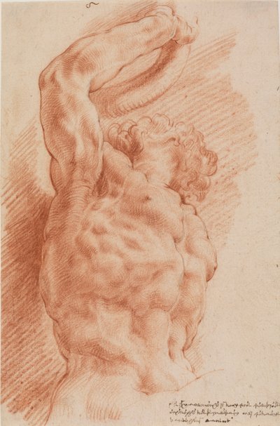 Laokoon. Sağdan aşağıdan görülen Laocoon