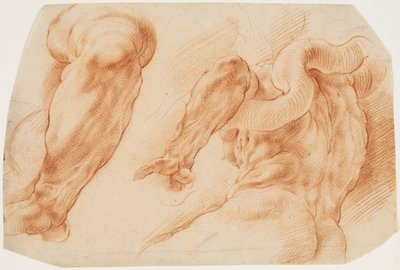 Laokoon. Laocoon