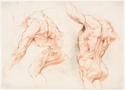 Sola yaslanmış bir adamın iki anatomik çalışması ve kolunu kaldırmış olarak arkadan görülen bir diğeri (écorché) by Willem Panneels