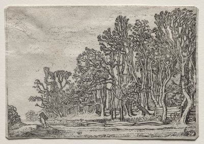 Manzara Seti: İki Tahta Çit by Willem Pietersz Buytewech