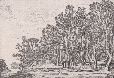 Verscheyden Landtschapjes