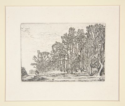 İki tahta çit, Manzara Setinden Plaka 6 by Willem Pietersz. Buytewech