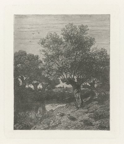 Bir hendekte ördekler by Willem Roelofs (I)