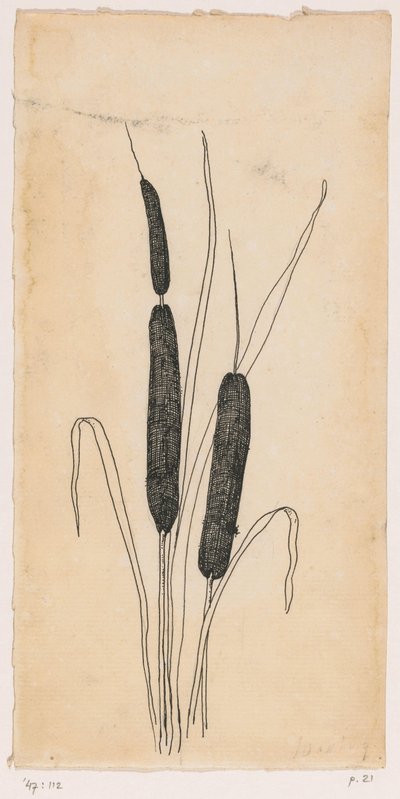 uzun kuyruklar by Willem Wenckebach