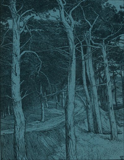 Ormanlık alan, c1912 by Willem Wenckebach