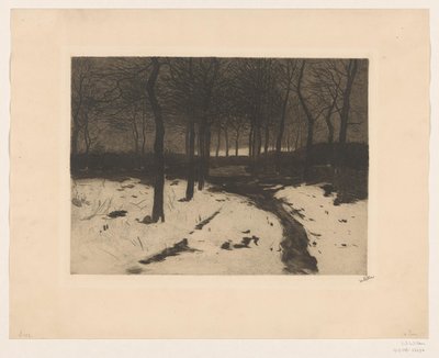 Ewijkshoeve'deki orman yolu by Willem Witsen (signed by artist)