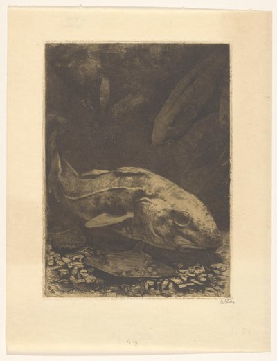 Balık ve su bitkileri by Willem Witsen (signed by artist)