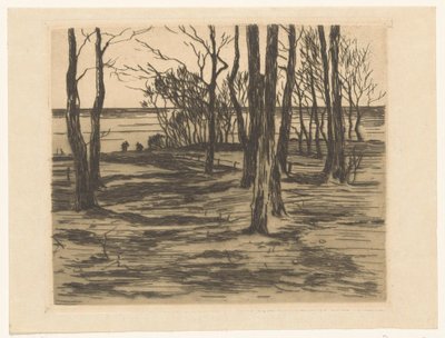 Valkeveen'de sahildeki ağaçlar by Willem Arnoldus Witsen